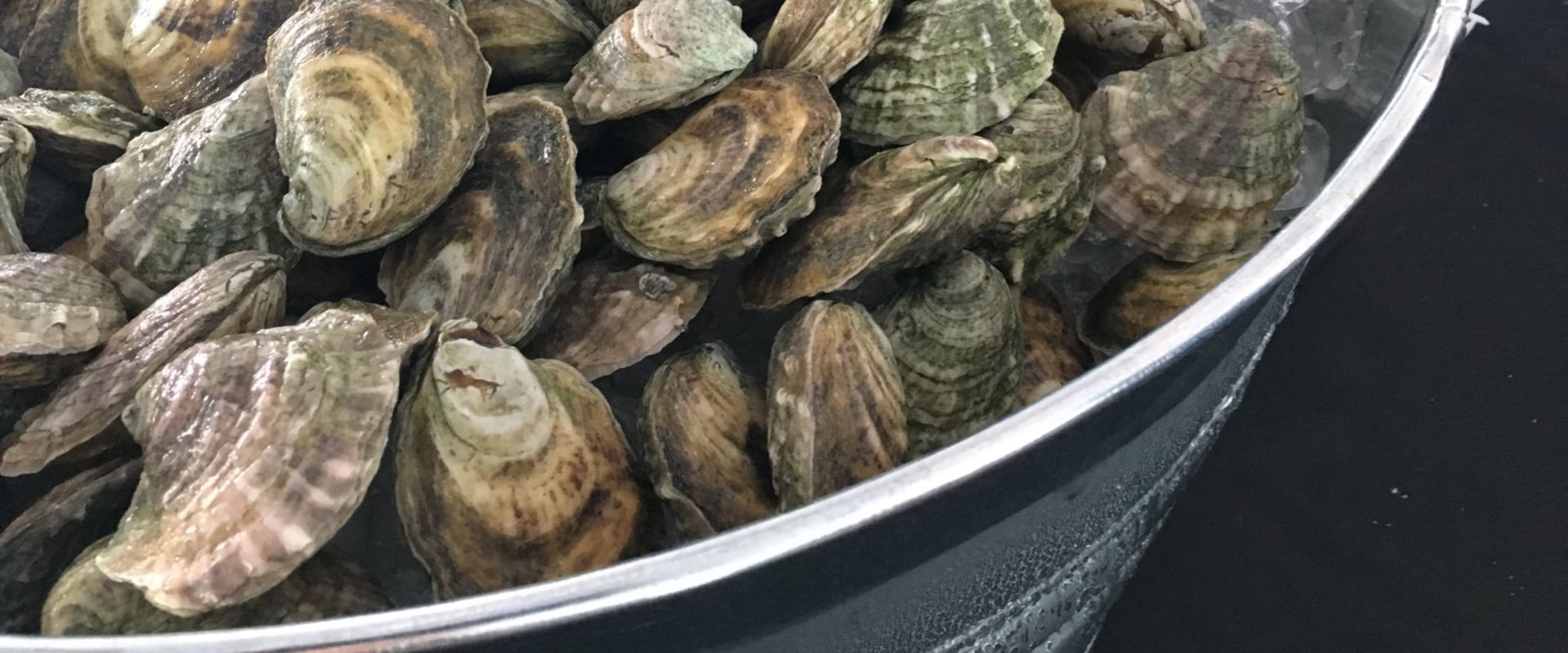 What is the Average Price of Oysters in Fairhope, Alabama?