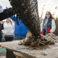 The Oyster Industry in Fairhope, Alabama: A Historical and Modern Perspective