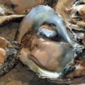 Comparing the Oyster Industry in Fairhope, Alabama to Other Coastal Regions