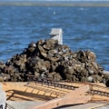 Harvesting Oysters in Fairhope, Alabama: A Comprehensive Guide