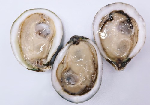 Oysters: A Cultural Identity for Fairhope, Alabama